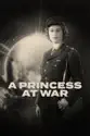 A Princess at War summary and reviews