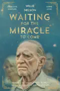 Waiting for the Miracle to Come summary, synopsis, reviews