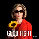 The Good Fight, Season 6 reviews, watch and download