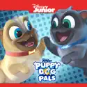 The Great Pug-scape / Luck of the Pug-ish - Puppy Dog Pals from Puppy Dog Pals, Vol. 2