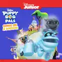 Puppy Dog Pals, Global Playtime! watch, hd download