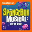 The SpongeBob Musical: Live on Stage! release date, synopsis, reviews