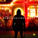 Homicide for the Holidays, Season 3 release date, synopsis, reviews