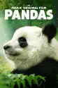 Pandas (2018) summary and reviews