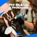Pit Bulls and Parolees, Season 2 cast, spoilers, episodes and reviews