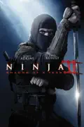 Ninja II: Shadow of a Tear summary, synopsis, reviews