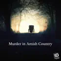 Murder in Amish Country, Season 1 release date, synopsis, reviews