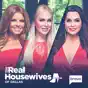 The Real Housewives of Dallas, Season 4