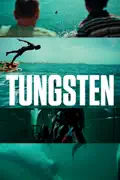 Tungsten summary, synopsis, reviews