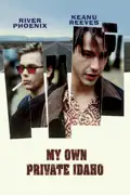 My Own Private Idaho summary, synopsis, reviews