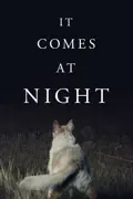 It Comes At Night summary, synopsis, reviews