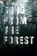 Song from the Forest summary, synopsis, reviews