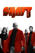 Shaft (2019) summary, synopsis, reviews