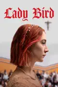 Lady Bird summary, synopsis, reviews