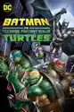 Batman vs. Teenage Mutant Ninja Turtles summary and reviews