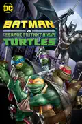 Batman vs. Teenage Mutant Ninja Turtles summary, synopsis, reviews