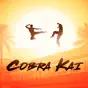 Cobra Kai, Season 1