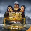 Bering Sea Gold, Season 11 watch, hd download