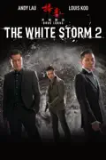 The White Storm 2: Drug Lords summary, synopsis, reviews