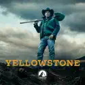 Behind the Story - The World Is Purple - Yellowstone, Season 3 episode 122 spoilers, recap and reviews