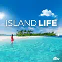 Island Life, Season 17 cast, spoilers, episodes, reviews