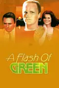 A Flash of Green summary, synopsis, reviews