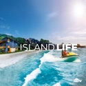 Island Life, Season 19 reviews, watch and download