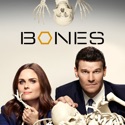 Bones, Season 10 cast, spoilers, episodes, reviews