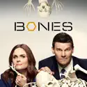 Bones, Season 10 cast, spoilers, episodes, reviews