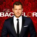 The Bachelor, Season 23 watch, hd download
