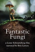 Fantastic Fungi reviews, watch and download