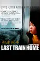 Last Train Home (2009) summary and reviews