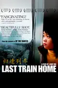 Last Train Home (2009) summary, synopsis, reviews