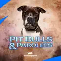 Pit Bulls and Parolees, Season 16 cast, spoilers, episodes, reviews