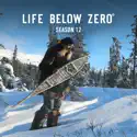 Life Below Zero, Season 12 cast, spoilers, episodes, reviews