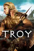 Troy summary, synopsis, reviews