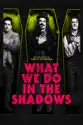 What We Do In the Shadows summary and reviews