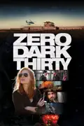 Zero Dark Thirty summary, synopsis, reviews