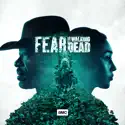 Fear the Walking Dead, Season 6 watch, hd download