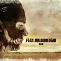 Fear the Walking Dead, Season 3 watch, hd download