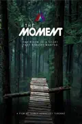 The Moment summary, synopsis, reviews