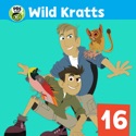 The Fourth Bald Eagle - Wild Kratts from Wild Kratts, Volume 16