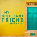 My Brilliant Friend: Seasons 1-2 cast, spoilers, episodes, reviews