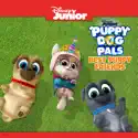 Puppy Dog Pals, Best Puppy Friends cast, spoilers, episodes, reviews