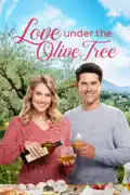 Love Under the Olive Tree summary, synopsis, reviews