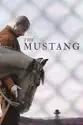 The Mustang summary and reviews