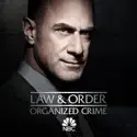 Law & Order: Organized Crime, Season 1 watch, hd download
