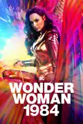 Wonder Woman 1984 summary, synopsis, reviews