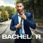 The Bachelor, Season 25
