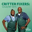 Critter Fixers: Country Vets, Season 1 release date, synopsis, reviews